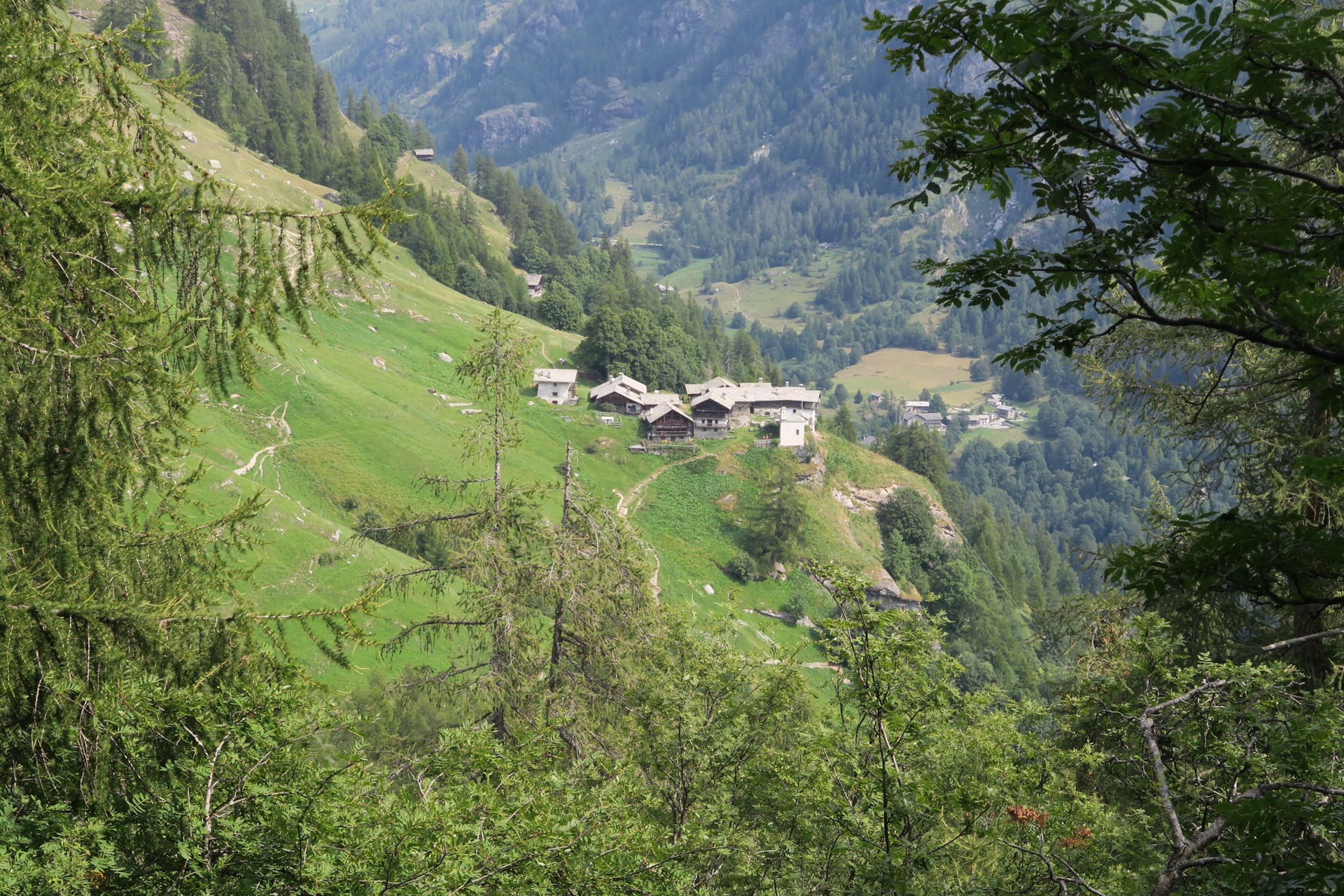Monte Rosa WalserWaeg 90 km - Monterosa Outdoor